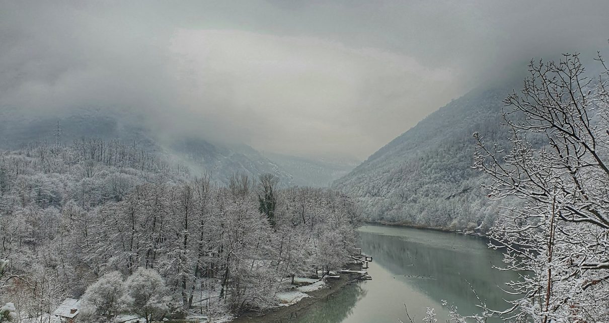 Foto: Vera Tanasijević