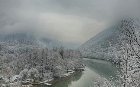 Foto: Vera Tanasijević