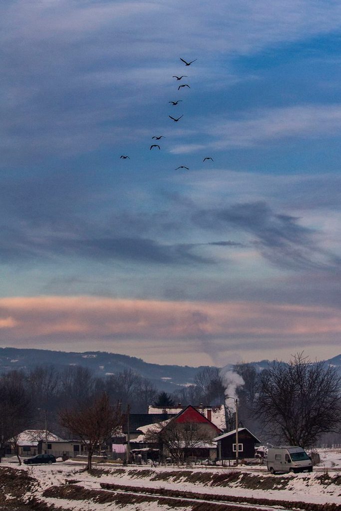 Foto: Djordje Vukadinović