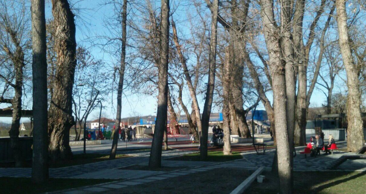 Foto: Mima Zindović