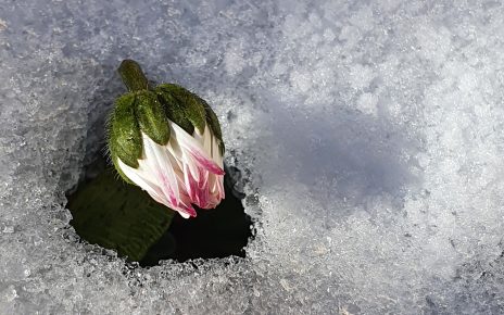 Foto: Vera Tanasijević