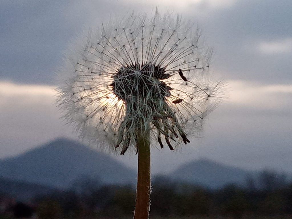 Foto: Sladjana Belić