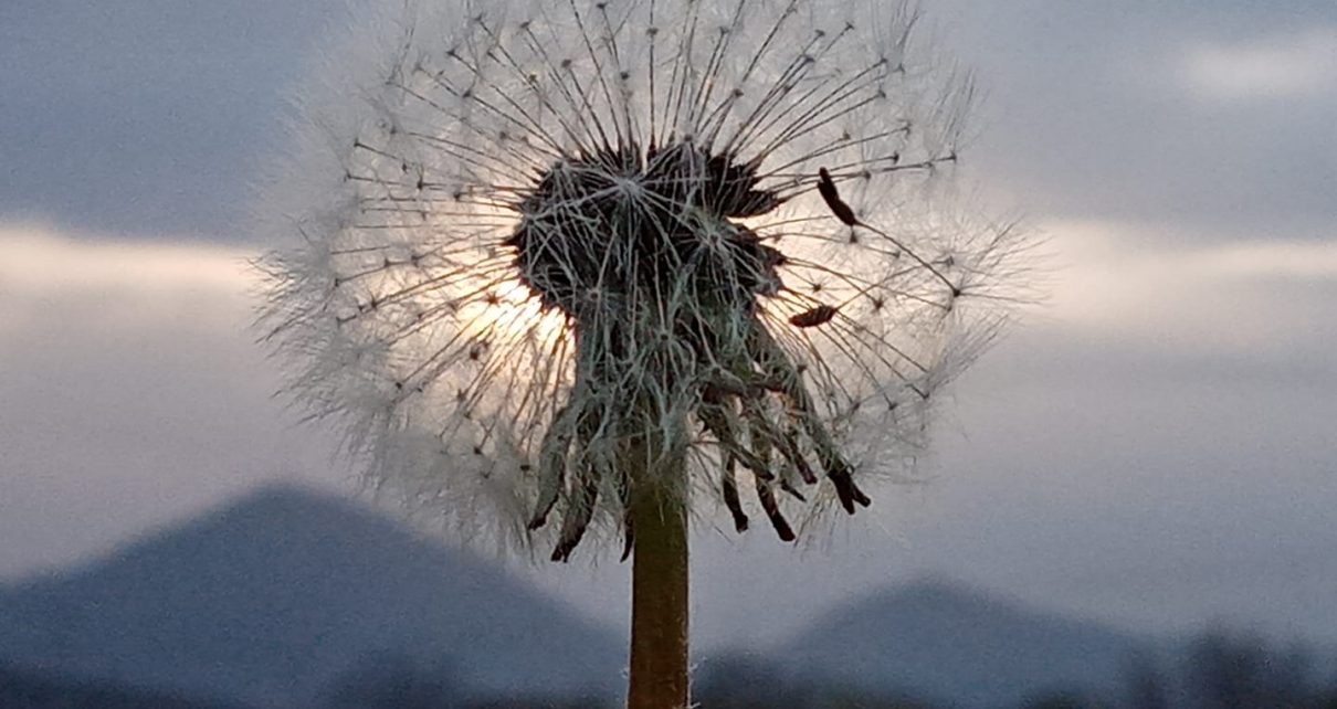 Foto: Sladjana Belić