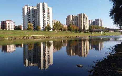 Foto: Zora Simović