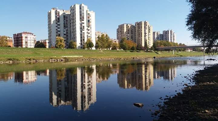 Foto: Zora Simović