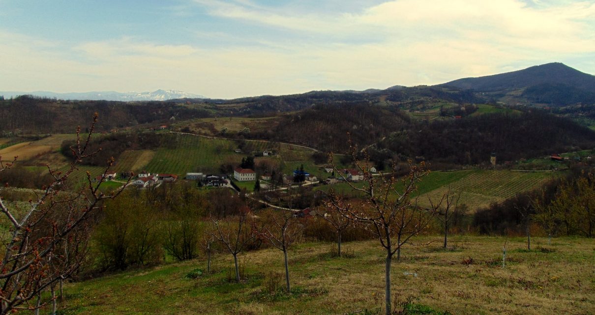 Foto: Dragan Djolović