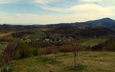 Foto: Dragan Djolović