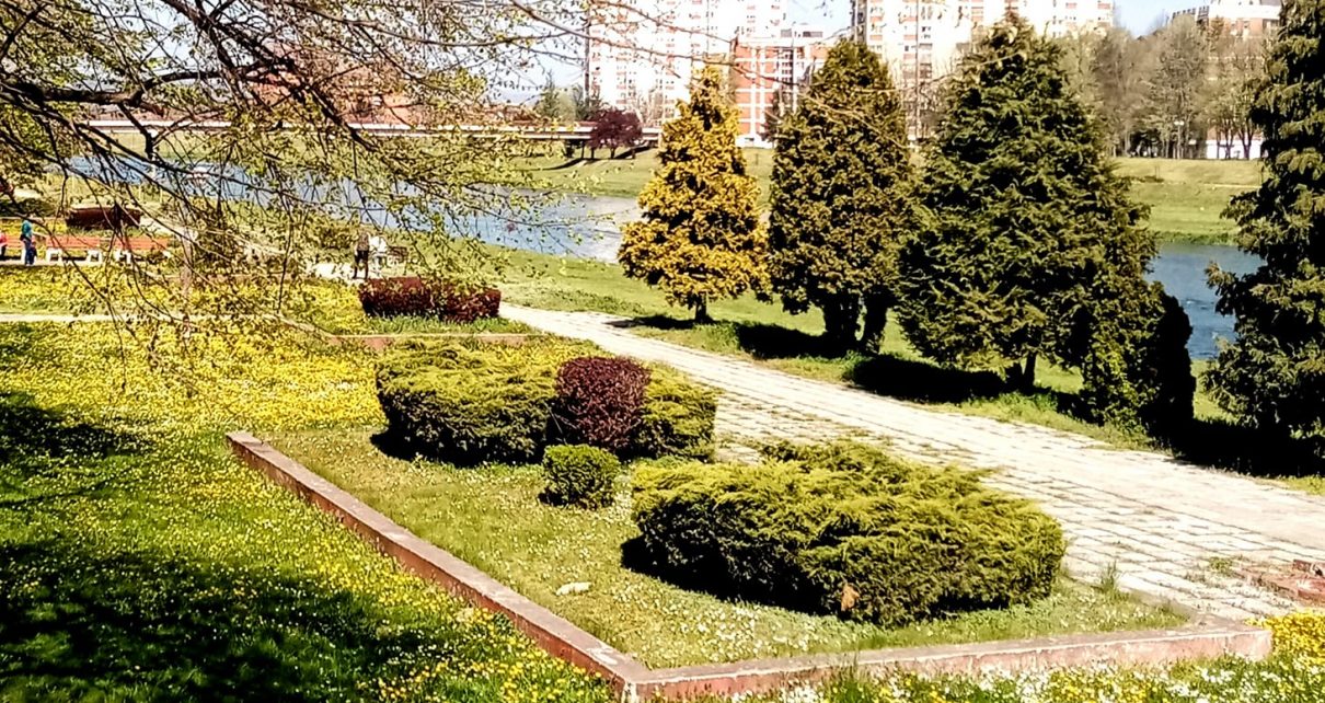 Foto: Stana Dimić