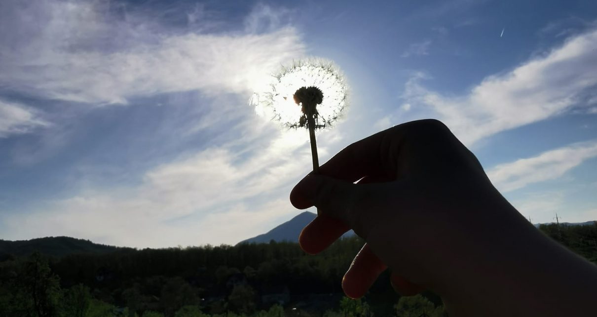 Foto: Veronika Vukićević