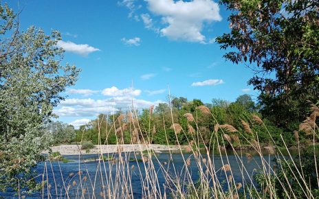 Foto: Sladjana Belić
