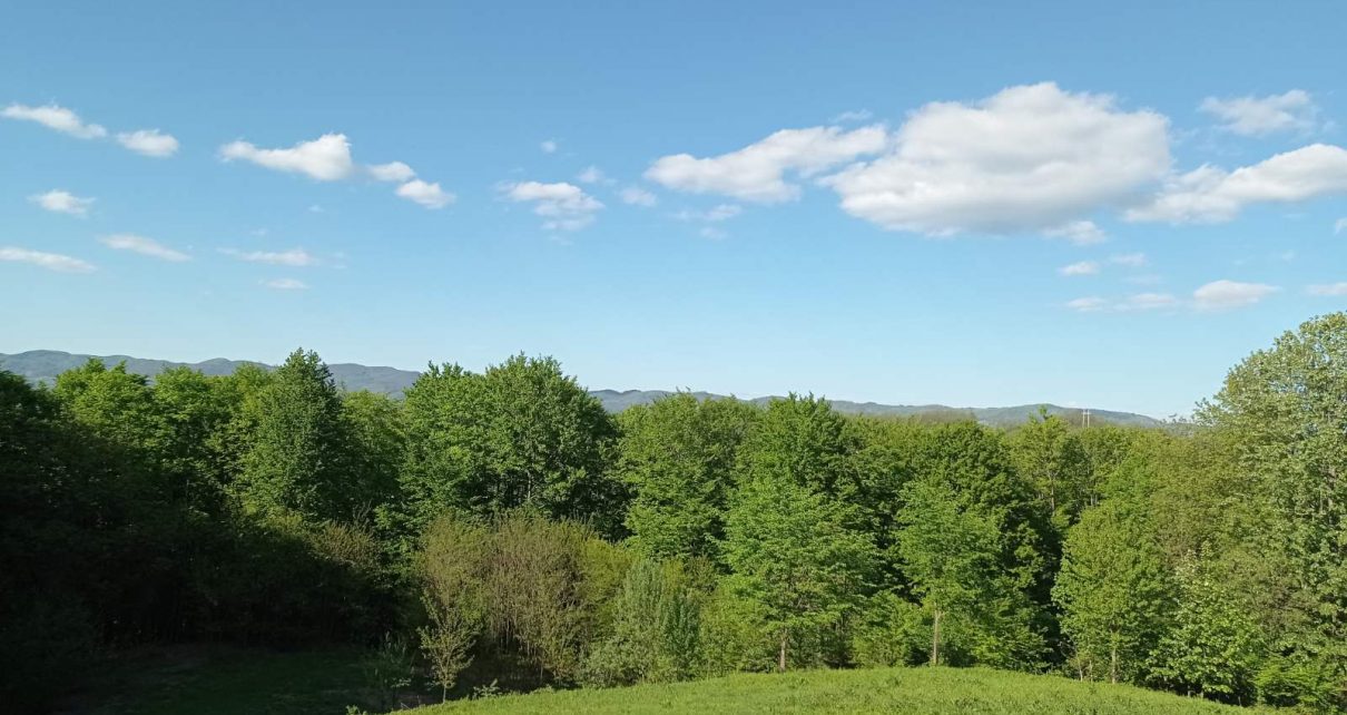 Foto: Danijela Kovačević Mikić