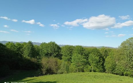 Foto: Danijela Kovačević Mikić