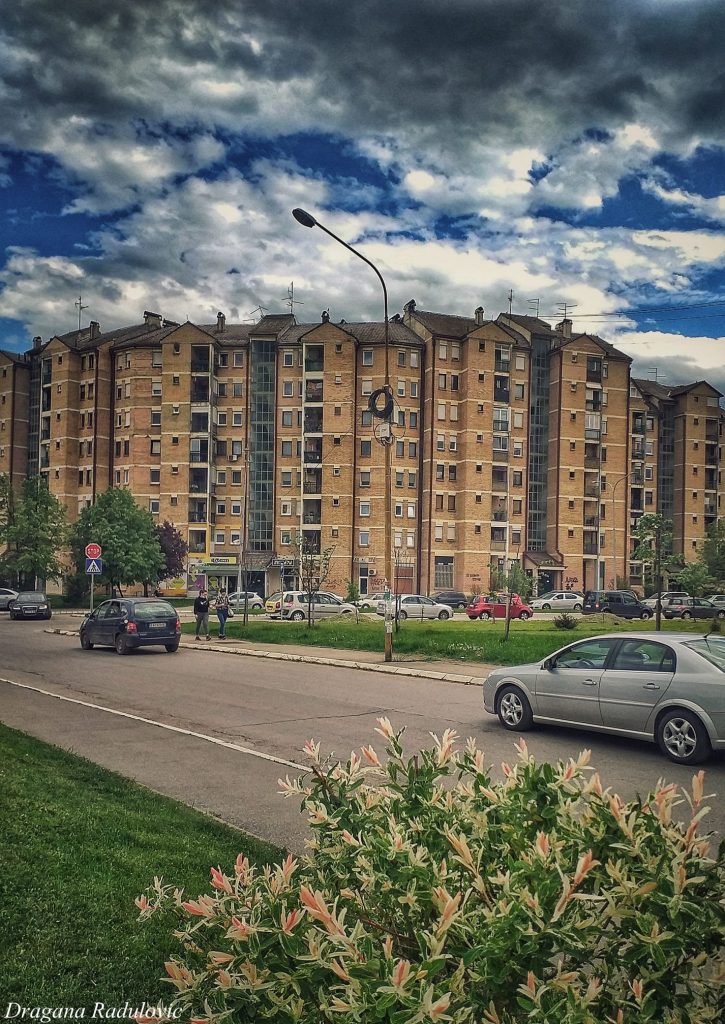 Фото: Драгана Радуловић