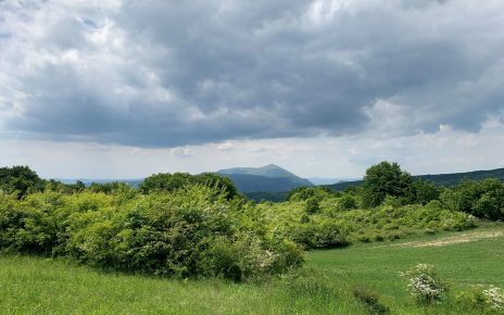 Фото: Планинац