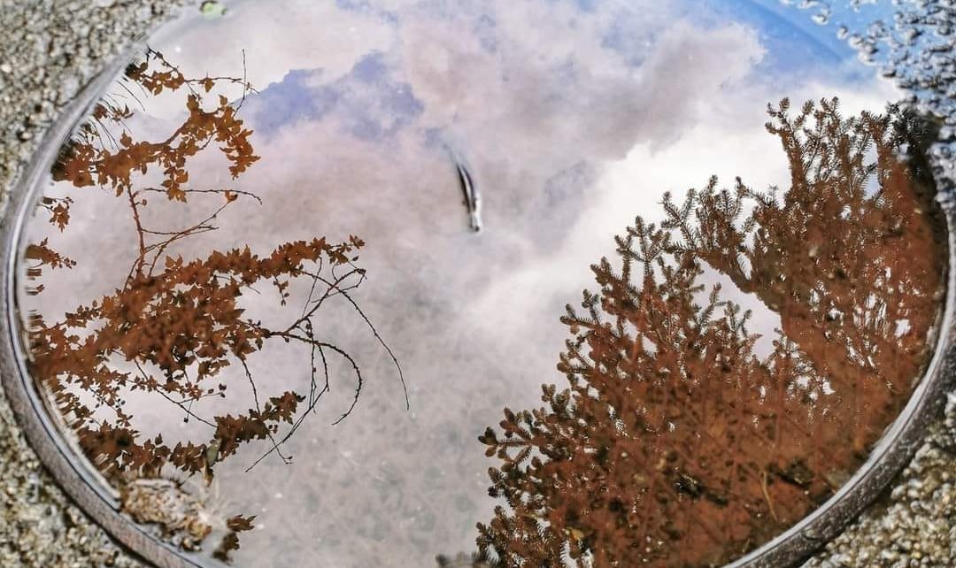 Фото: Вероника Вукићевић