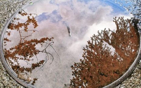 Фото: Вероника Вукићевић