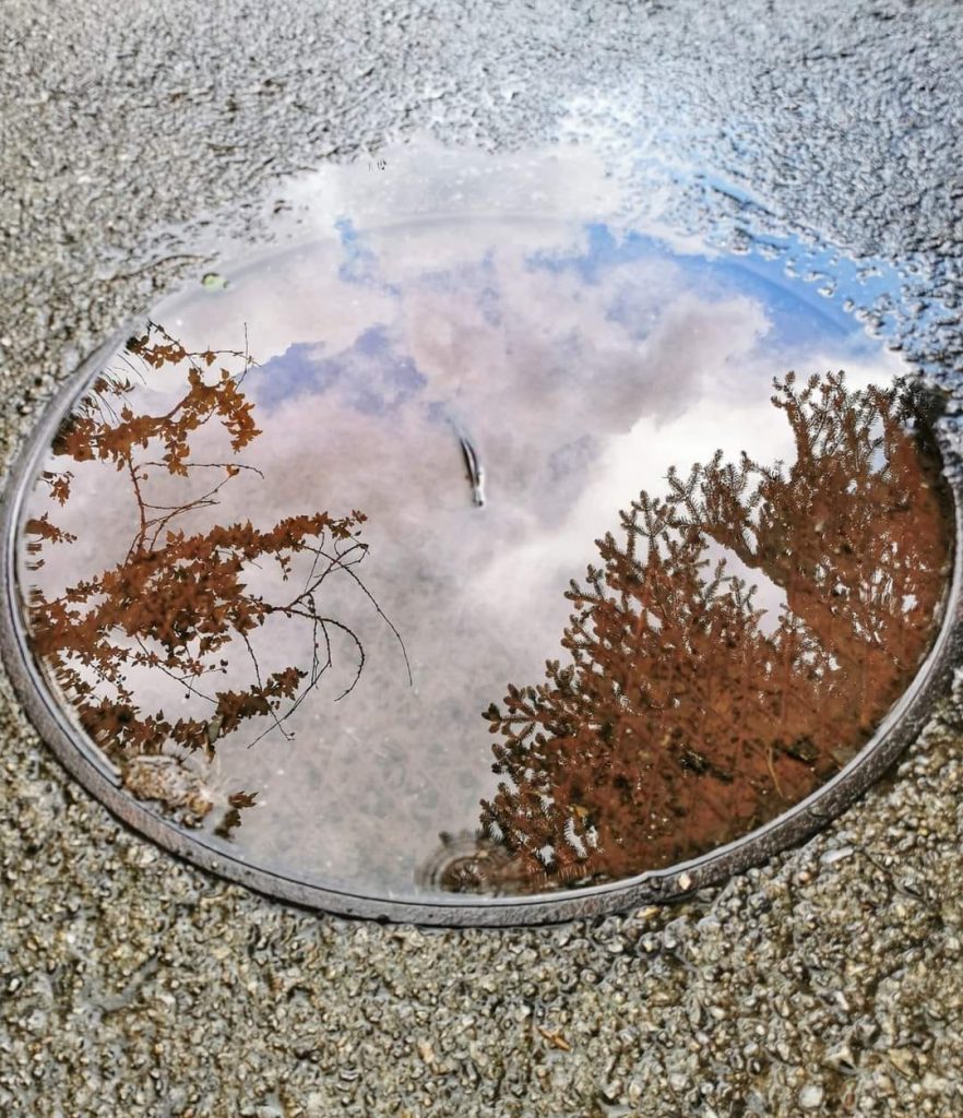 Фото: Вероника Вукићевић