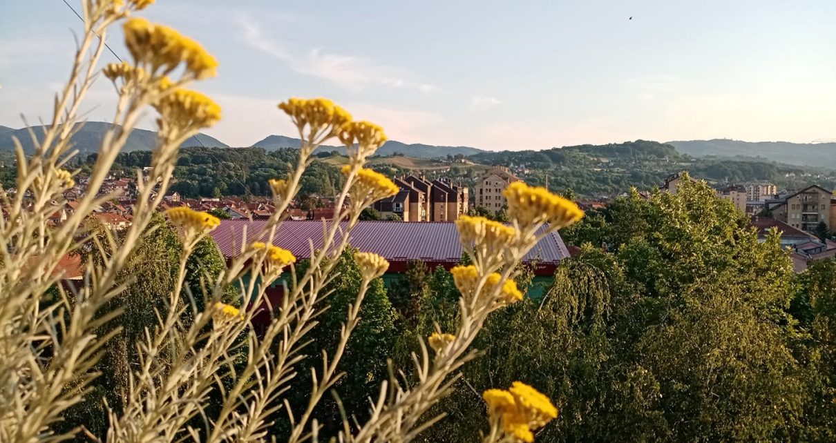 Фото: Стана Димић