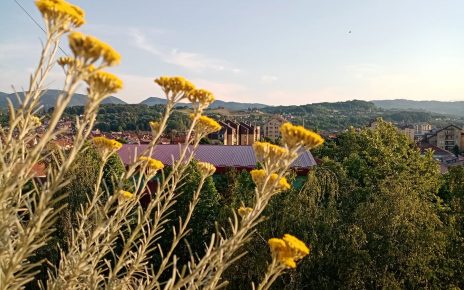 Фото: Стана Димић