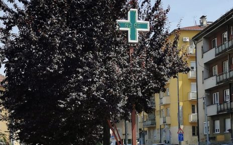 Фото: Вероника Вукићевић