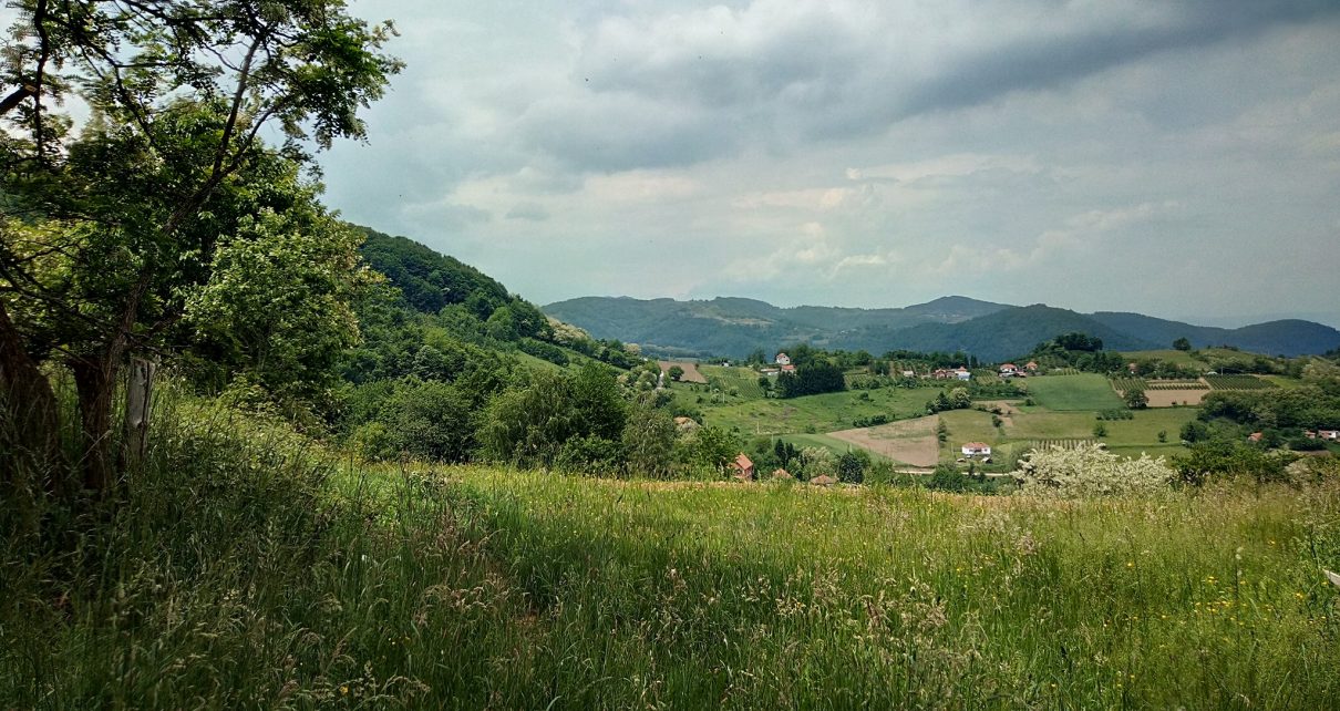 Пријатан летњи дан (Фото: Данијела Ковачевић Микић)