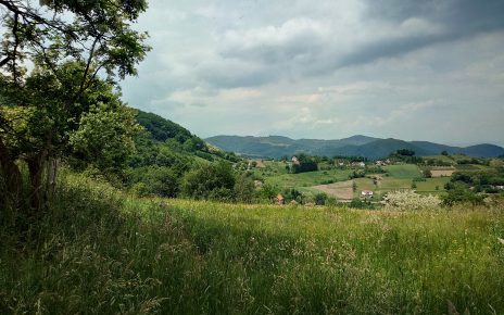Пријатан летњи дан (Фото: Данијела Ковачевић Микић)