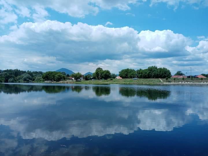 ЛЕТО (Фото: Слађана Белић)