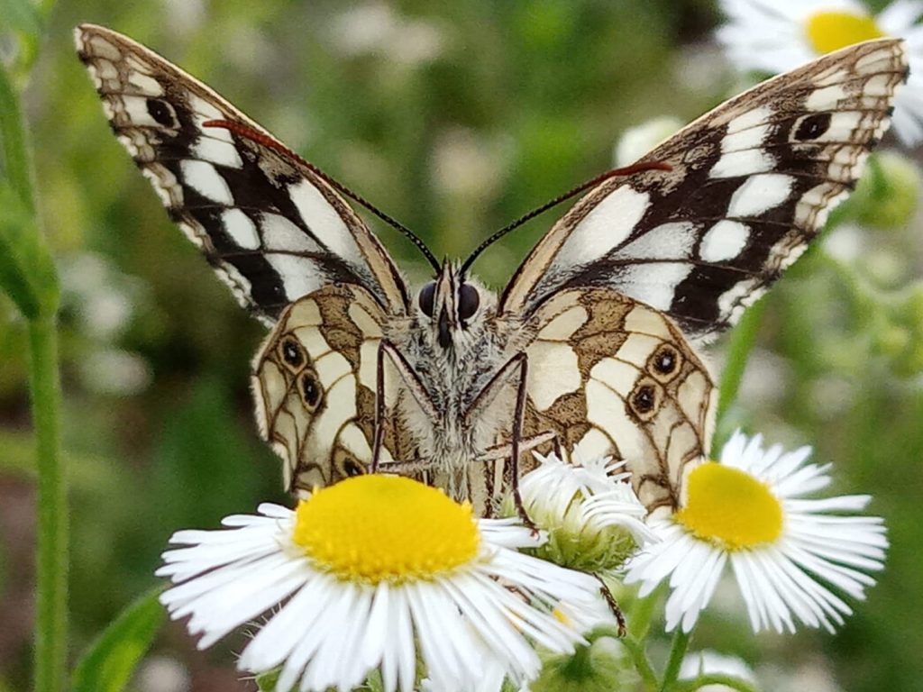 Фото: Слађана Белић