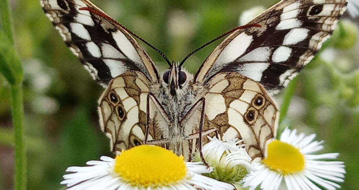 Фото: Слађана Белић