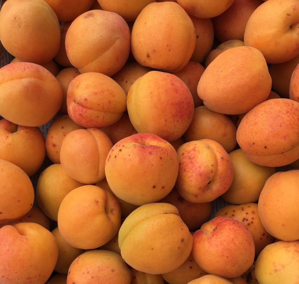 КАЈСИЈЕ (Фото: ЧА ГЛАС)