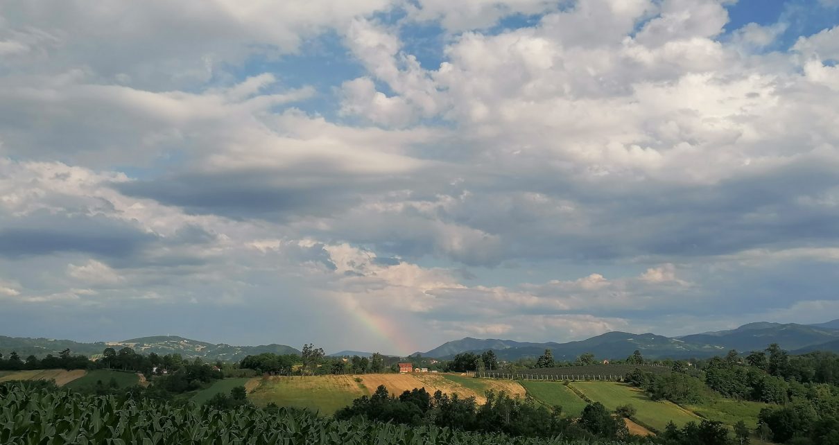 Фото: Јасмина М. Пауновић
