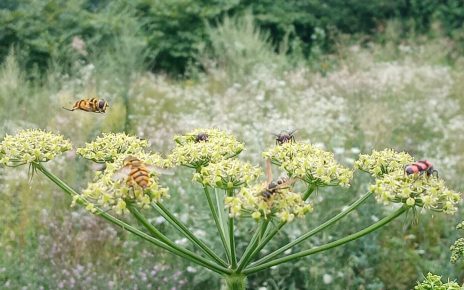 Фото: Слађана Белић