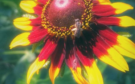 ЛЕТО (Фото: Ивана Јоксић)