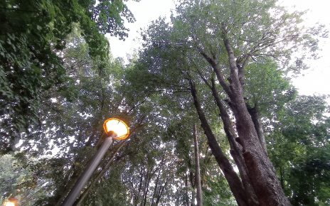 Фото: Мима Зиндовић