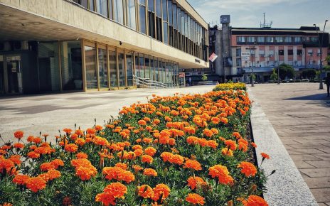 ЛЕТО (Фото: Вероника Вукићевић)