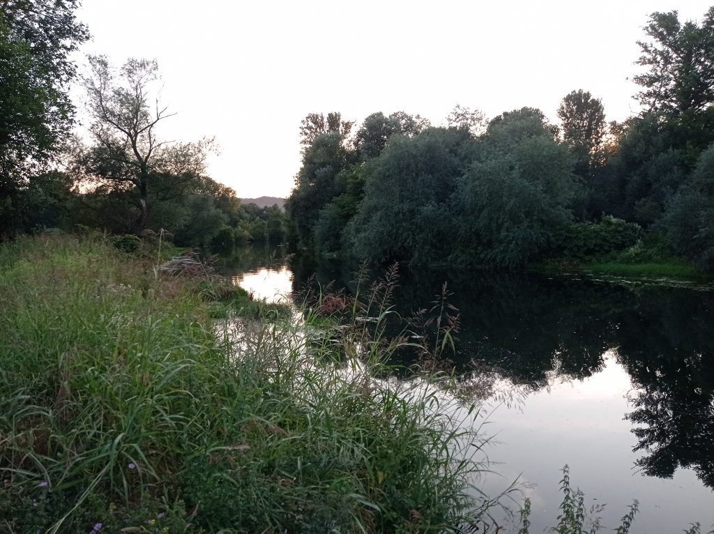 Фото: Мима Зиндовић