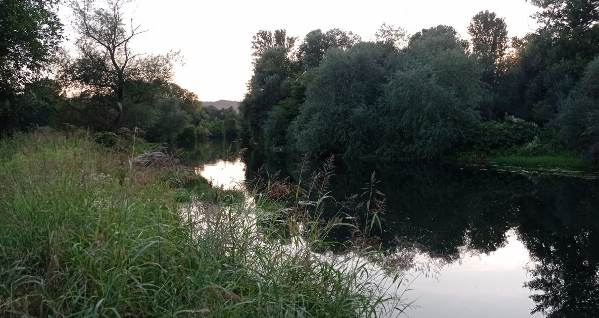 Фото: Мима Зиндовић