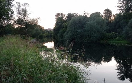 Фото: Мима Зиндовић