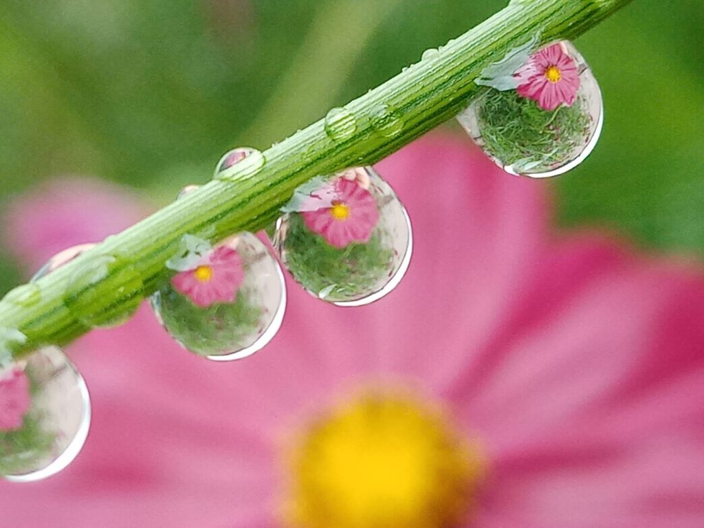 ЛЕТЊА КИША (Фото: Слађана Белић)