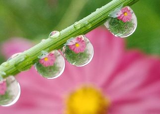 ЛЕТЊА КИША (Фото: Слађана Белић)