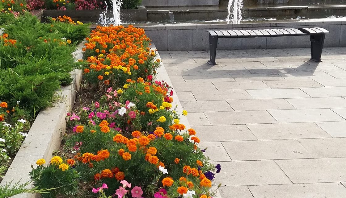 ЛЕТО (фото: Зора Симовић)