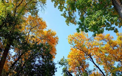 ЈЕСЕН (фото: Слађана Белић)