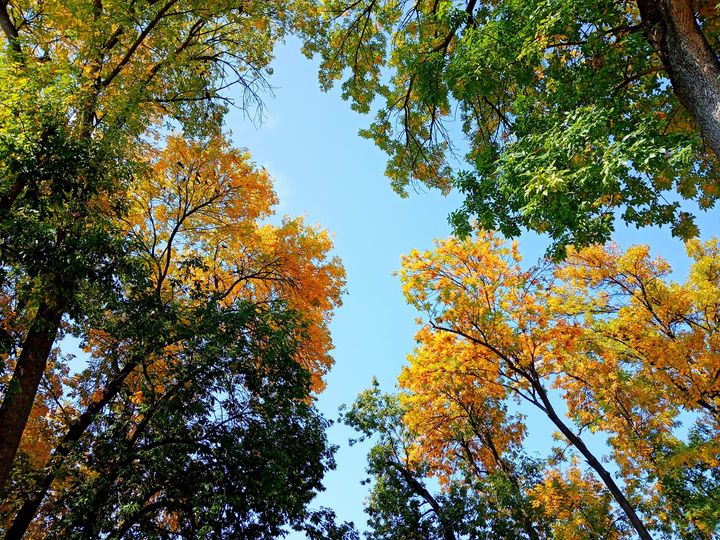 ЈЕСЕН (фото: Слађана Белић)