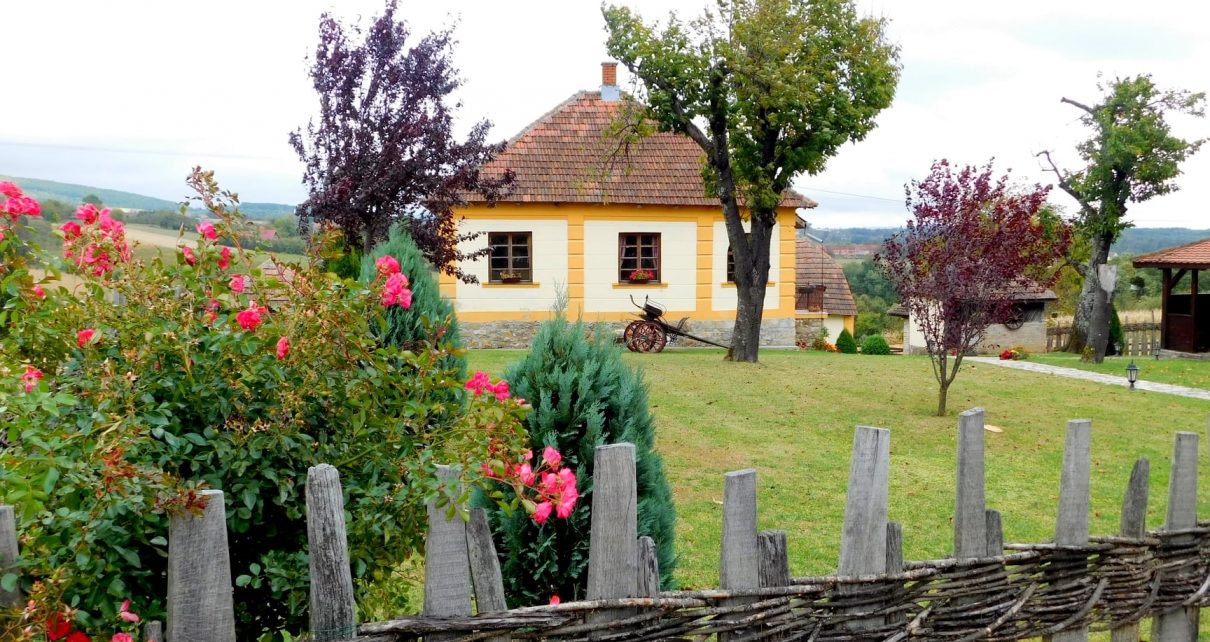 Фото: Стефан Лукић