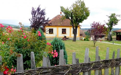 Фото: Стефан Лукић