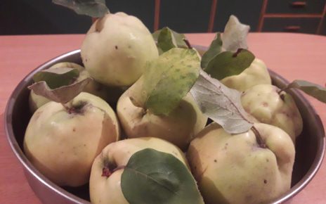 ДУЊЕ (фото: Ча глас)