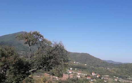 Фото: Ча глас