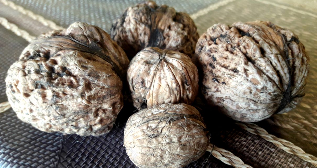 ОРАХ (фото: Ча глас)