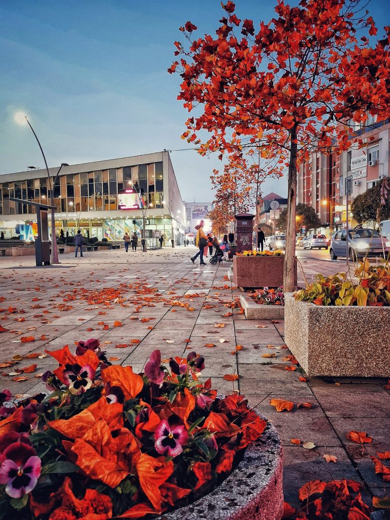 Јесен (фото: Вероника Вукићевић)