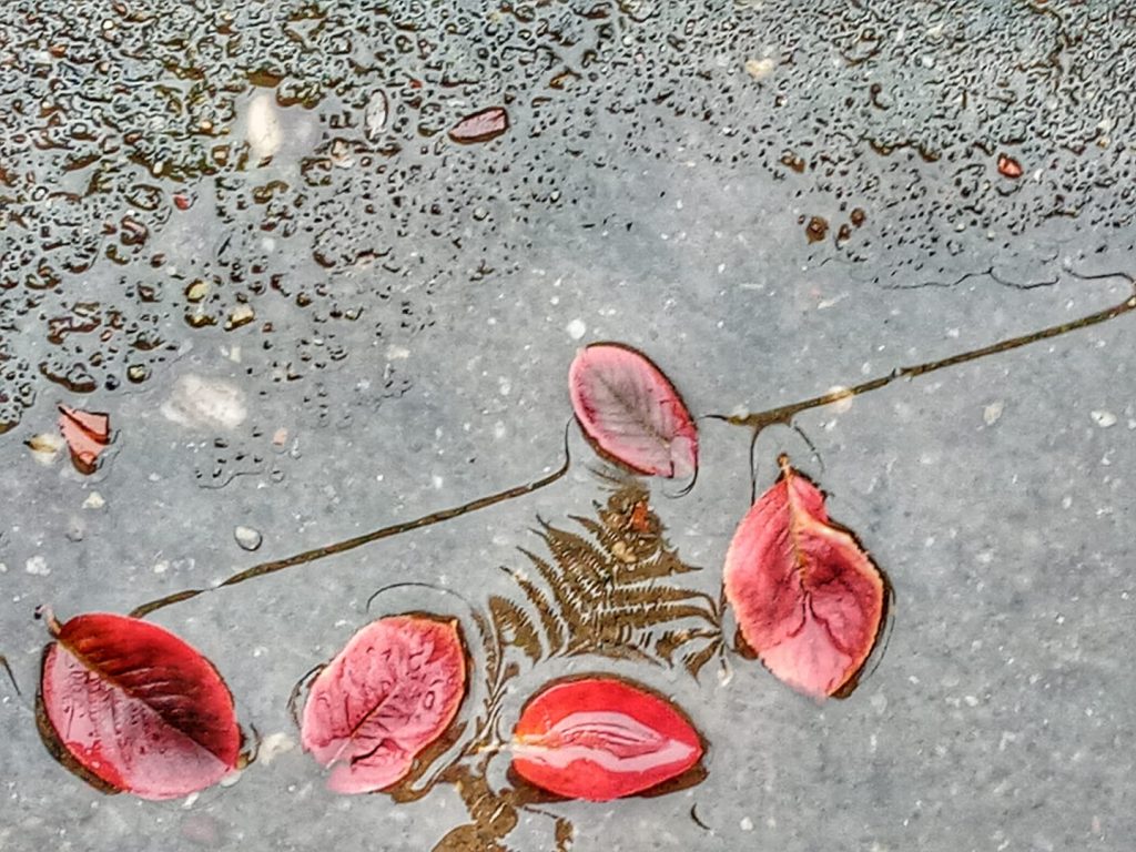 ЈЕСЕЊА КИША (фото: Слађана Белић)